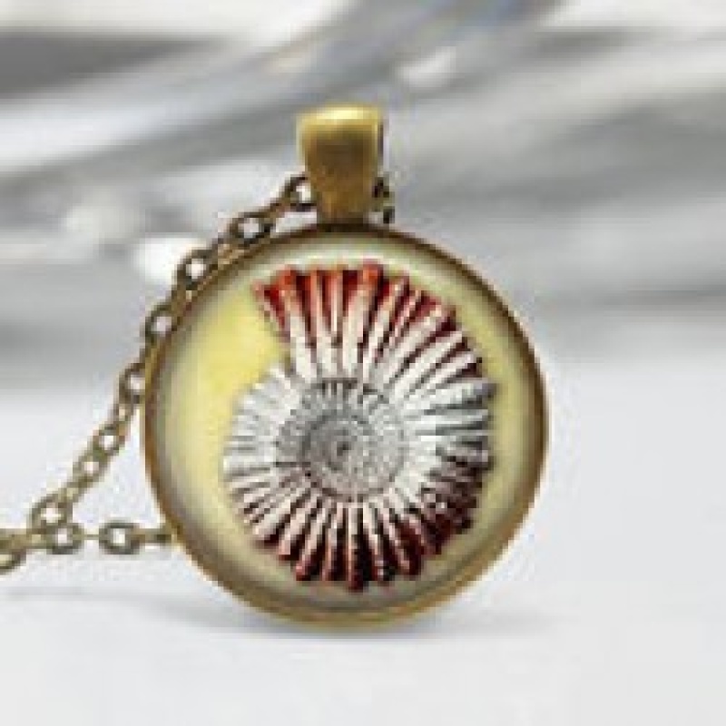 AMMONITE SPELL INFUSED PENDANT TO HELP WITH SURVIVAL INSTINCTS