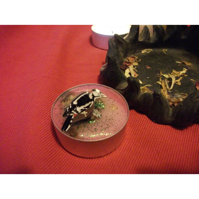 WOODPECKER SPIRIT GUIDE BROOCH