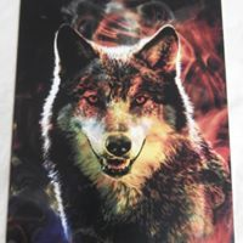 Wolf Life Path Card Reading  - 3 Card Reading