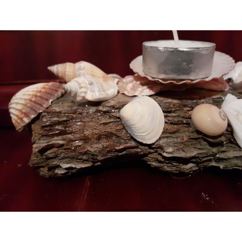 Enchanting Coastal Delights: Handcrafted Thassos Driftwood Tealight Candle Holder with Sea Shell Medley and Clay Mermaid Accent